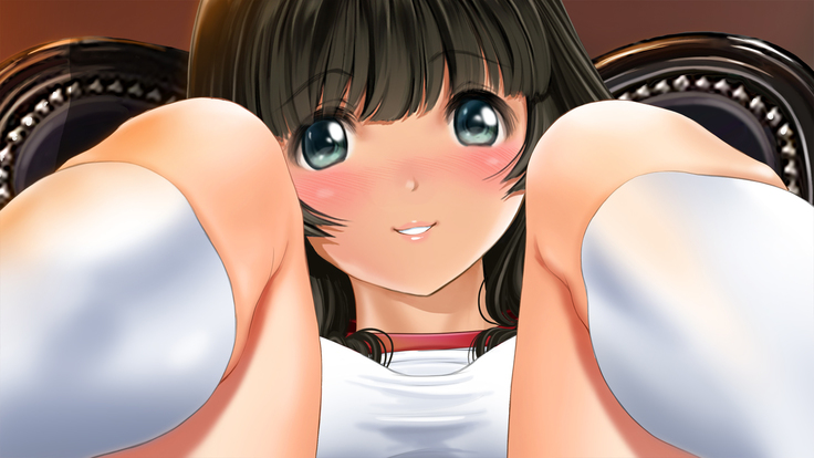 Seijyun joshikousei wo seidorei ni suru houhou