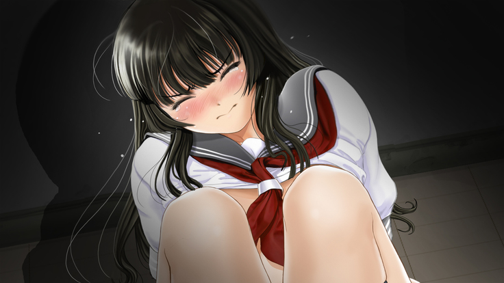 Seijyun joshikousei wo seidorei ni suru houhou
