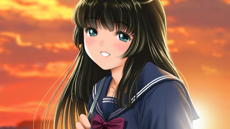 Seijyun joshikousei wo seidorei ni suru houhou