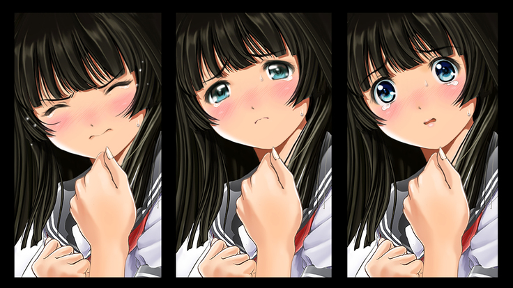 Seijyun joshikousei wo seidorei ni suru houhou
