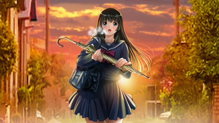 Seijyun joshikousei wo seidorei ni suru houhou