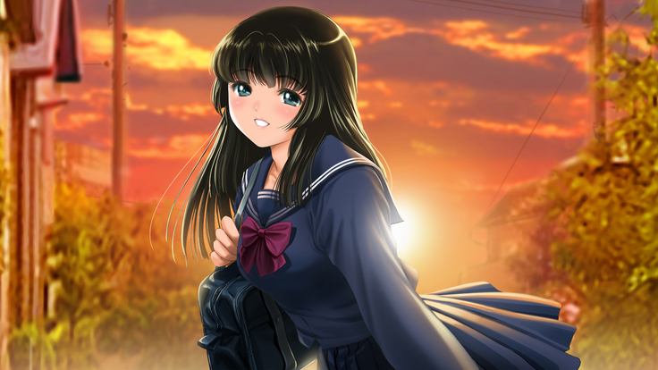 Seijyun joshikousei wo seidorei ni suru houhou
