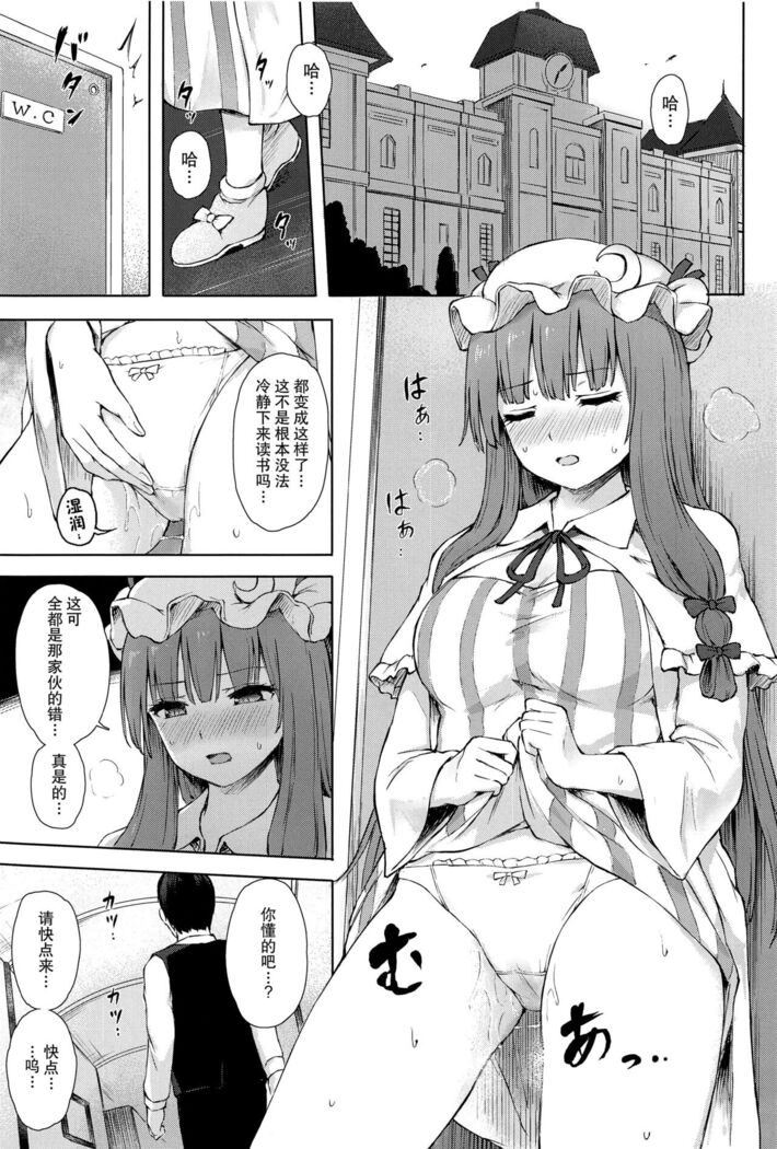 Patchouli Knowledge Kaihatsu Kiroku II