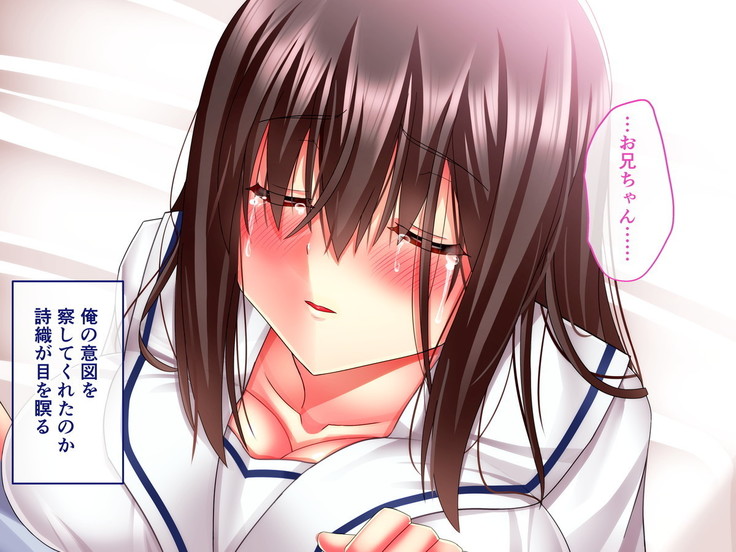 Hikaeme Jimime na Imouto to Nettori Gattsuri Love Love Ecchi