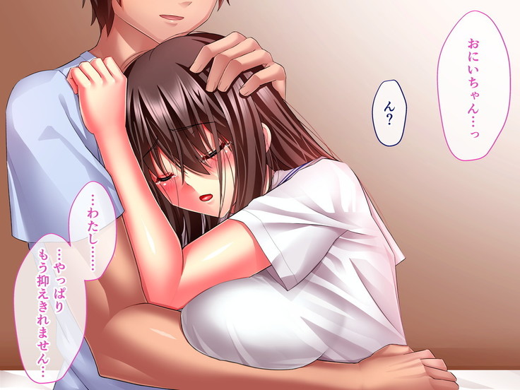 Hikaeme Jimime na Imouto to Nettori Gattsuri Love Love Ecchi