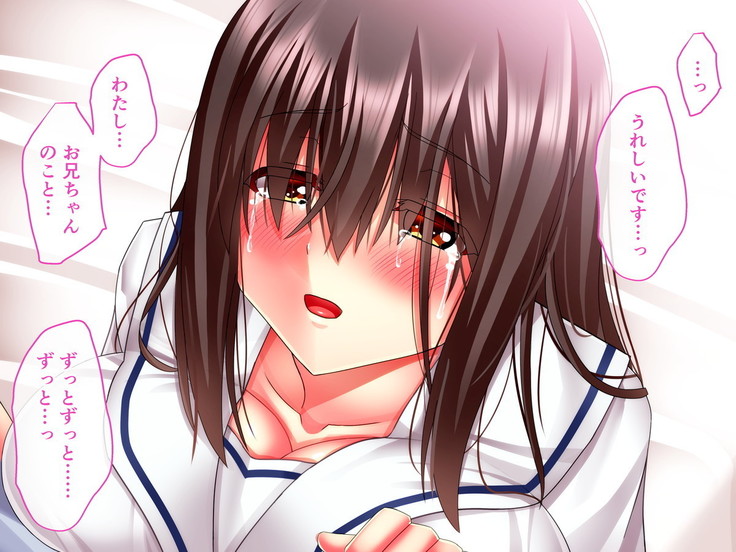 Hikaeme Jimime na Imouto to Nettori Gattsuri Love Love Ecchi