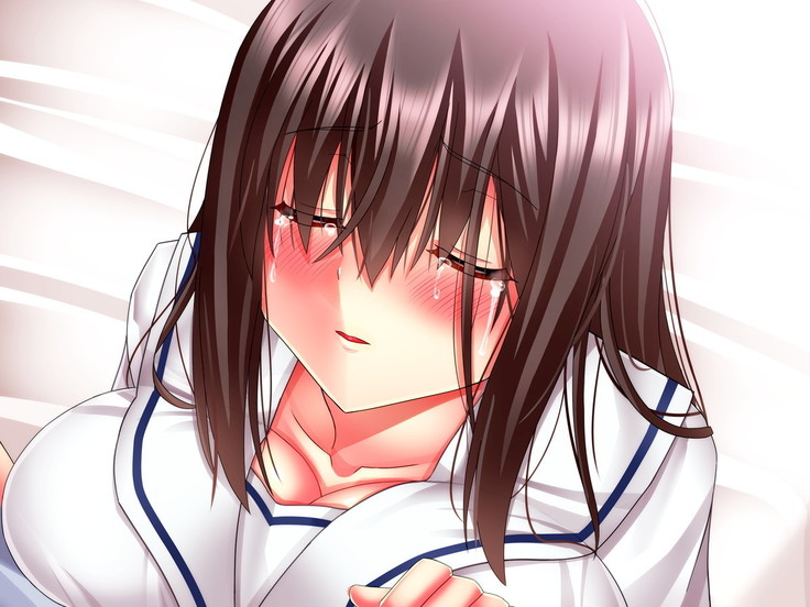 Hikaeme Jimime na Imouto to Nettori Gattsuri Love Love Ecchi