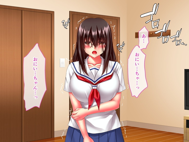 Hikaeme Jimime na Imouto to Nettori Gattsuri Love Love Ecchi