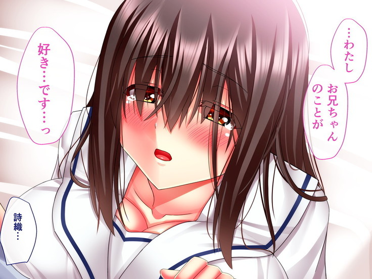 Hikaeme Jimime na Imouto to Nettori Gattsuri Love Love Ecchi