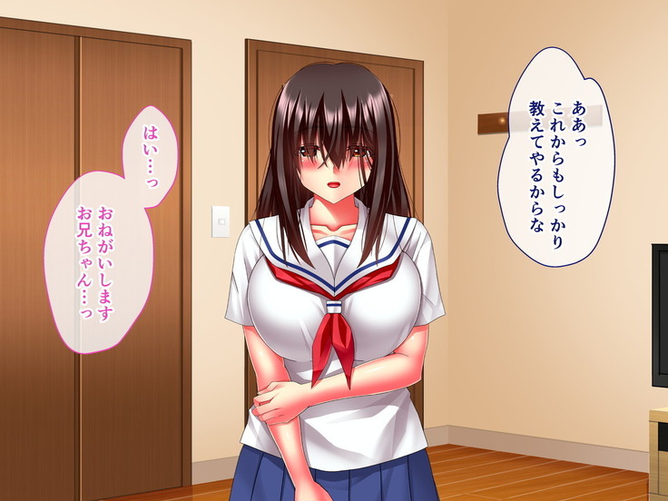 Hikaeme Jimime na Imouto to Nettori Gattsuri Love Love Ecchi