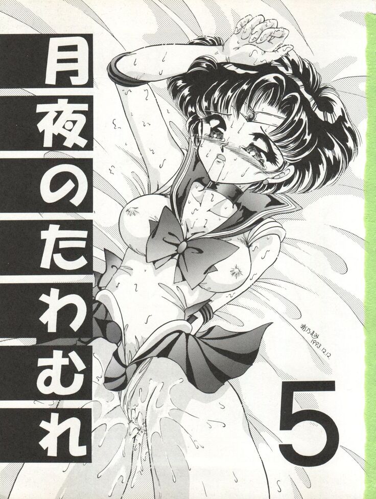 Tsukiyo no Tawamure 5