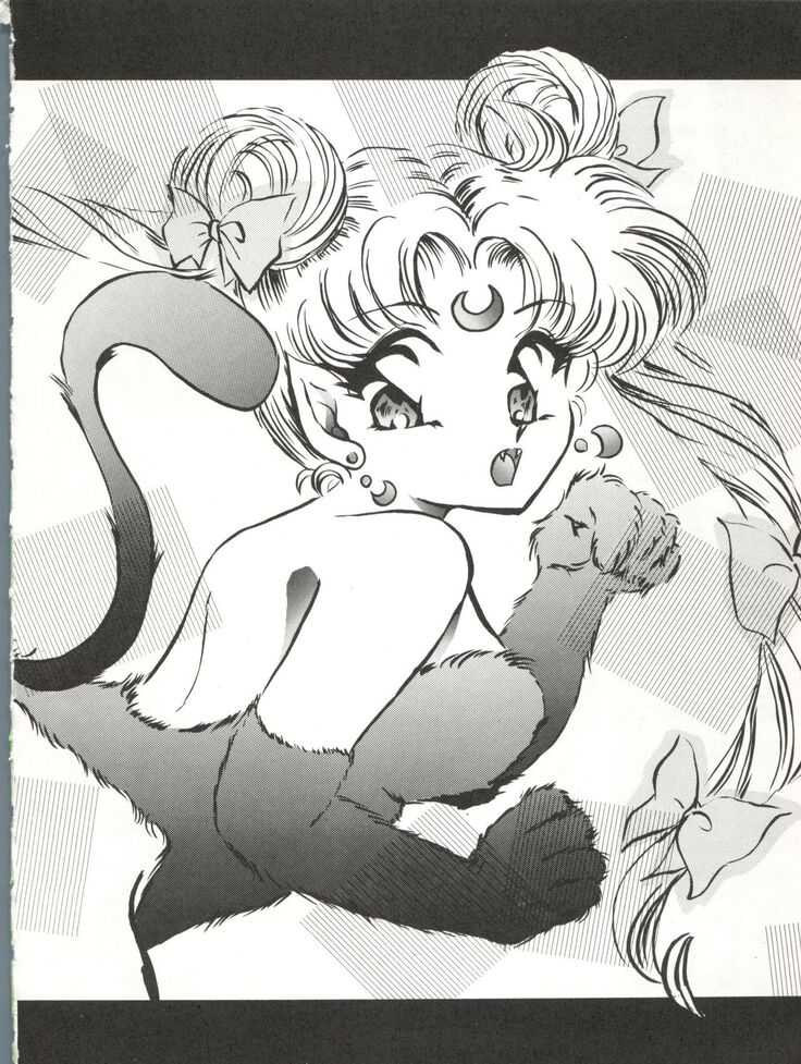 Tsukiyo no Tawamure 5