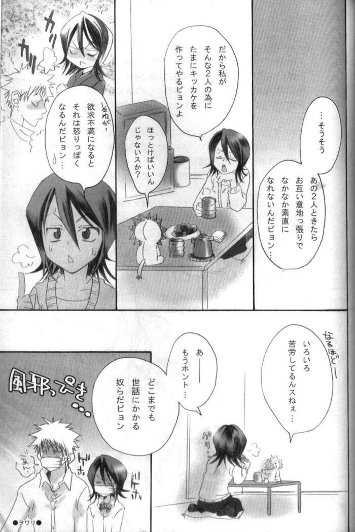 Pochi Honey | Petit Honey
