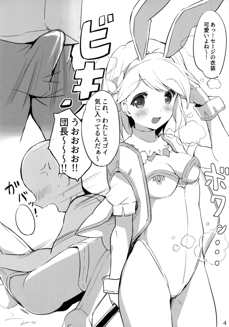 ジータちゃんとすけべぇする本