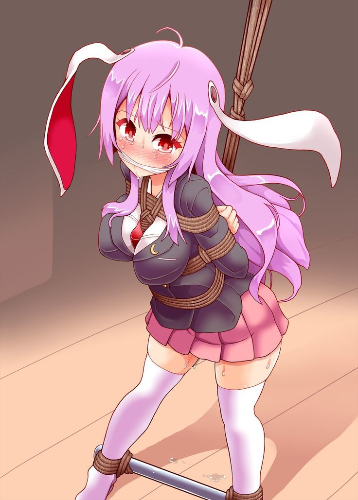 Usagi Shibari
