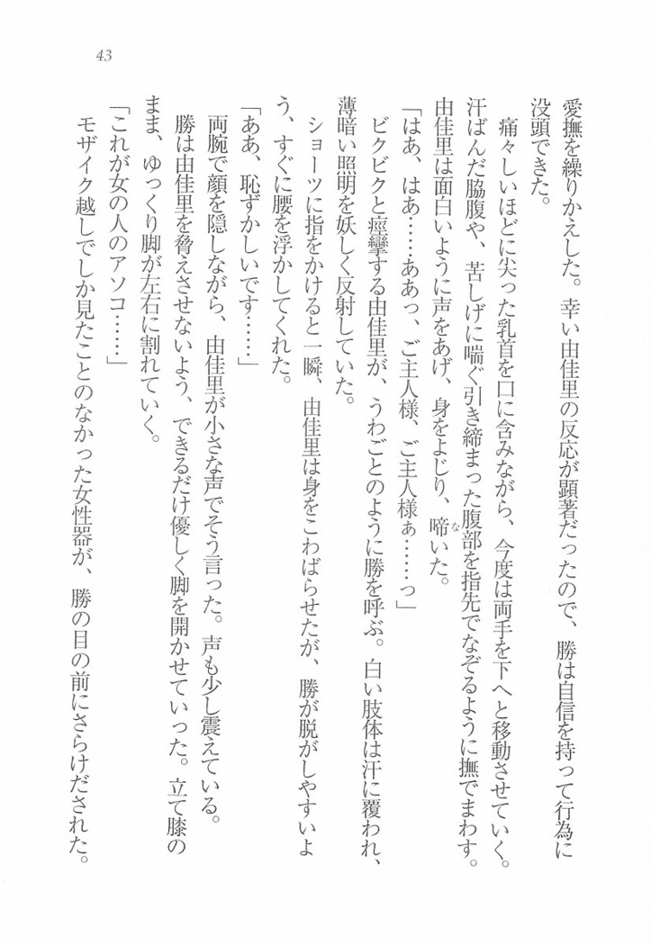 メイドなります! ～彼女は幼なじみ