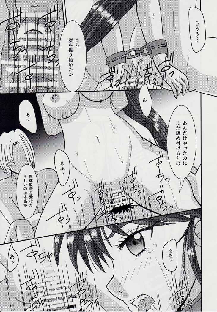 謎の赤猫団＋謎の黒猫団 10 天津亜衣 鬼獣淫界に散る 淫獣大聖戦 Twin Angel War 淫獣聖戦20周年記念