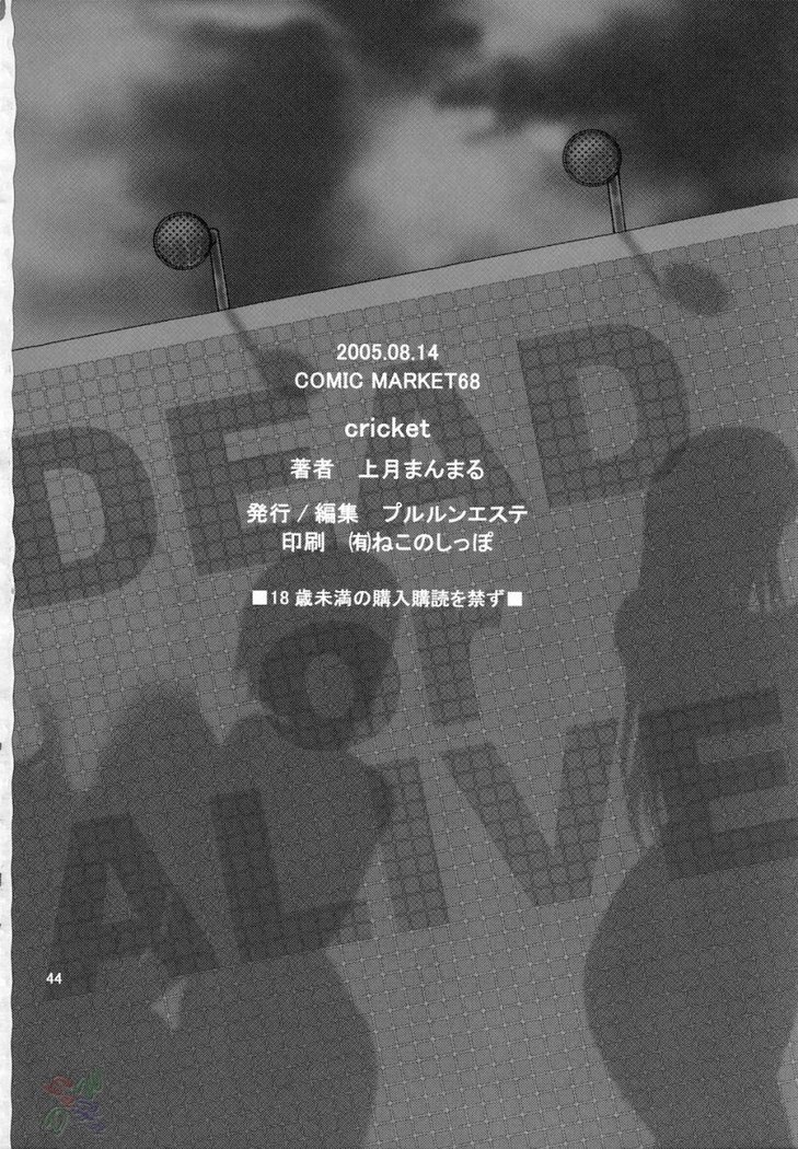 Dead or Alive X - Cricket 2