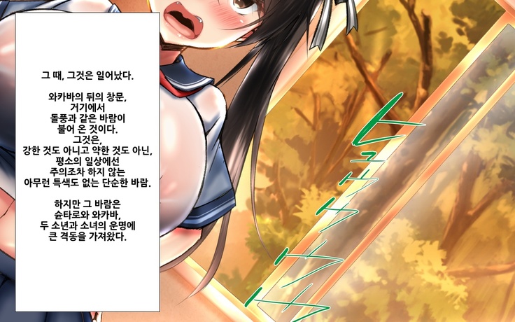 합체! 빠지지 않아!? ~교미한 채로 일상 성활~ / Gattai! Nukenai!？ ~Koubi shita mama Nichijou Seikatsu~