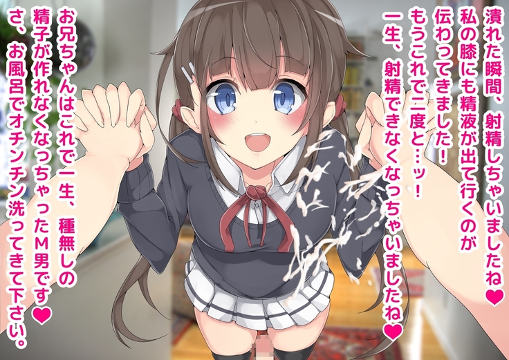 Keigo de Hanasu Imouto ni Kanzen Shihai Sareru Teisoutai Choukyou!!!