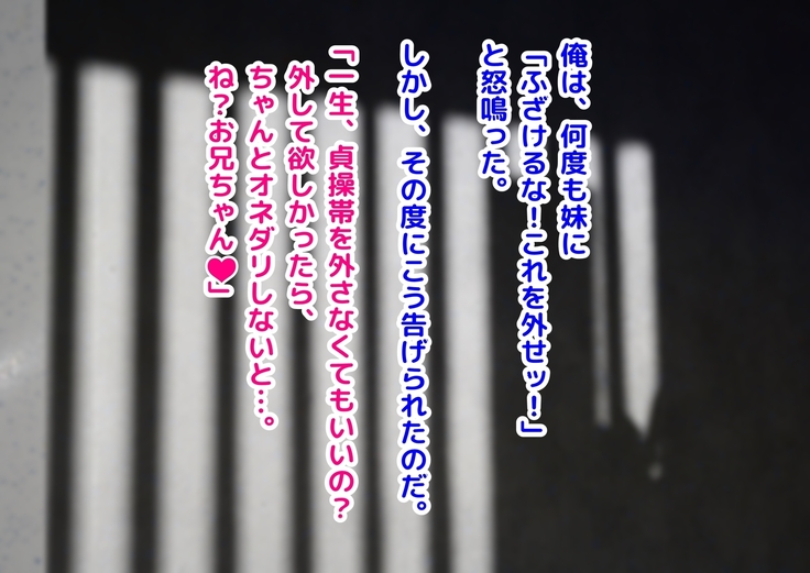 Keigo de Hanasu Imouto ni Kanzen Shihai Sareru Teisoutai Choukyou!!!