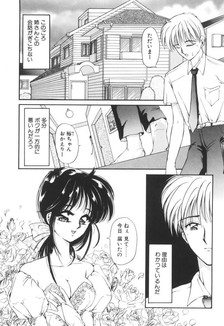 Ane -DEAR MY SISTER･･･-