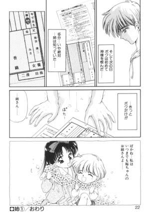 Ane -DEAR MY SISTER･･･- Page #21