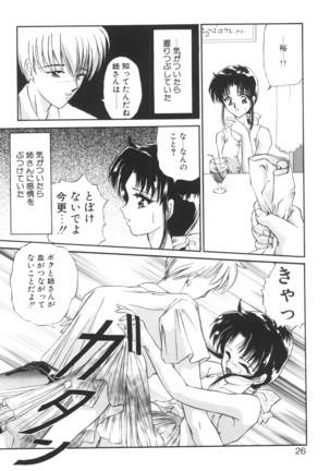 Ane -DEAR MY SISTER･･･- Page #25