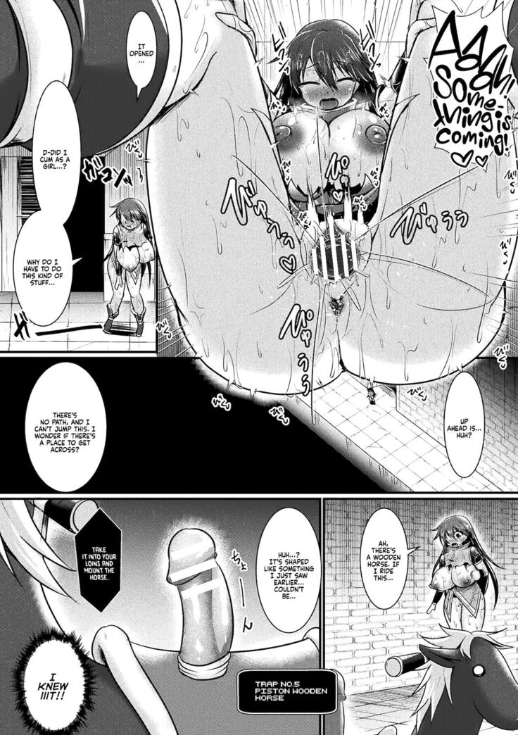 The Final Trial ~I wanted to become a hero~