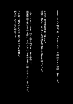 Inyoku ni Shizumu, Shimai Elf Page #119