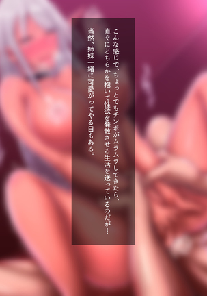 Inyoku ni Shizumu, Shimai Elf Page #140
