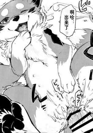 Kitsuneinu ni Nomaso!? | 让狐犬喝酒!? Page #15