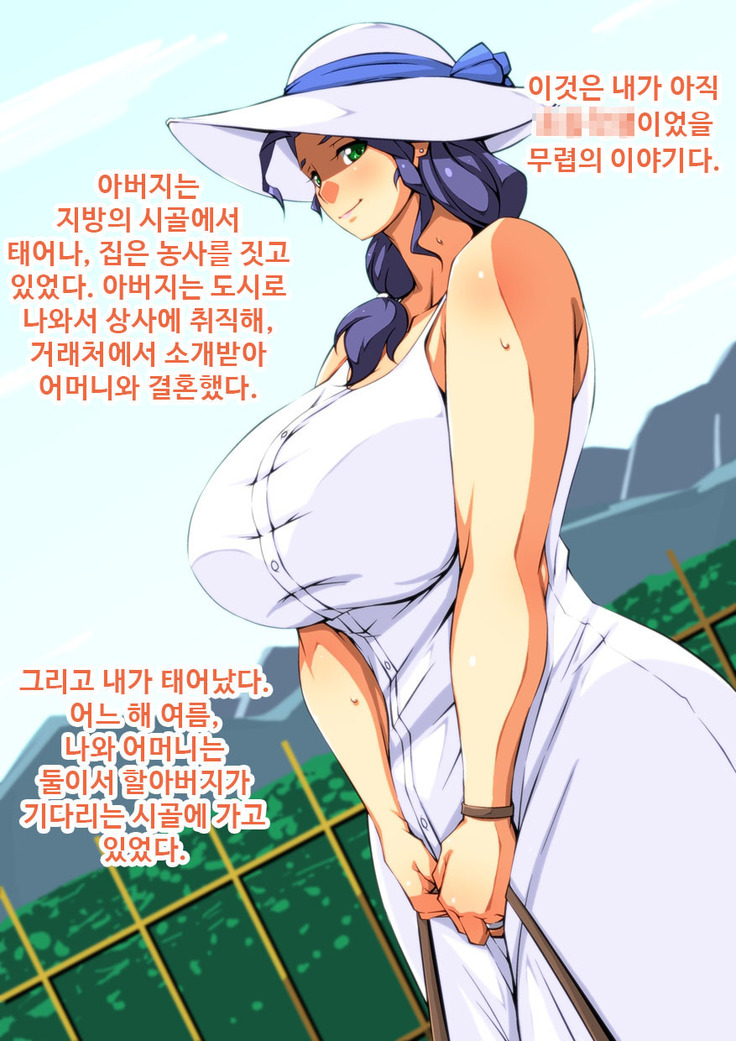 Netorare Bibo -Sofu no Nikudo ni Natta Boku no Haha-