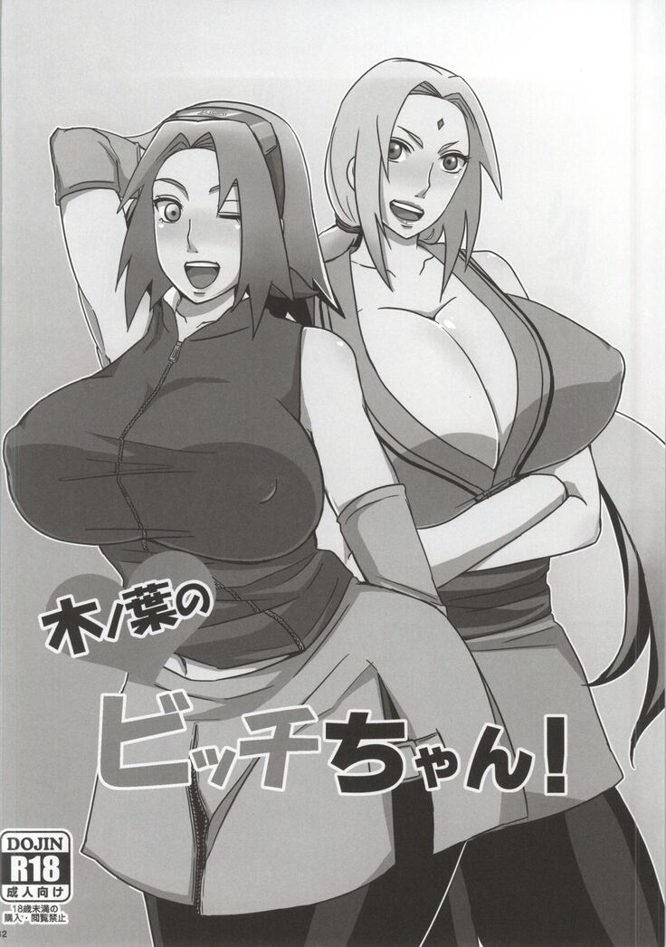 Shinobi no Kokoroe
