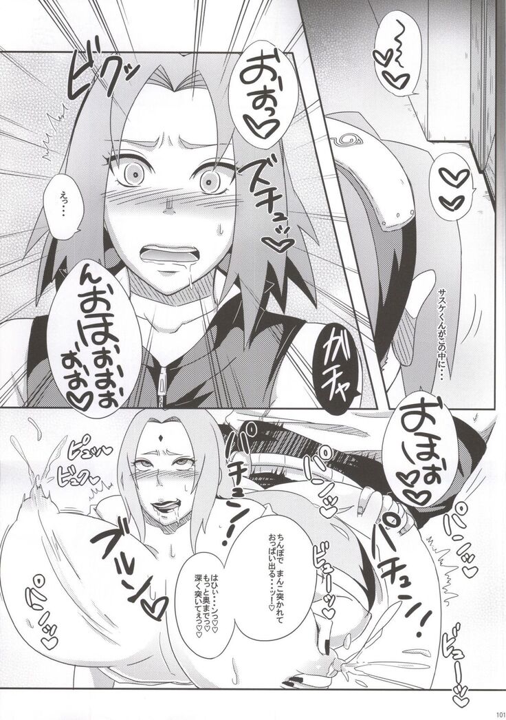 Shinobi no Kokoroe