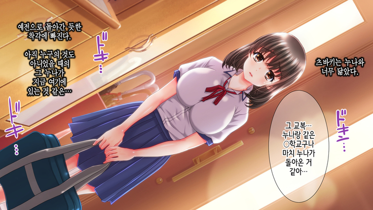 Ane no Wasuregatami no Mei o Ore wa Okashita ~Zenpen~