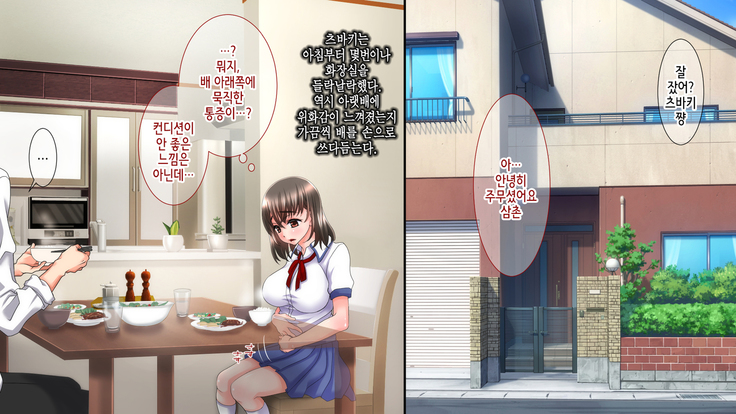 Ane no Wasuregatami no Mei o Ore wa Okashita ~Zenpen~