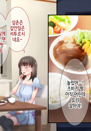 Ane no Wasuregatami no Mei o Ore wa Okashita ~Zenpen~ Page #16