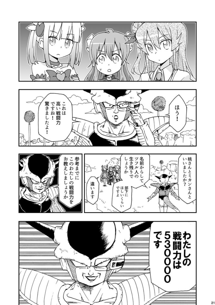 Wareme Mienai Shashin Senshuken 2