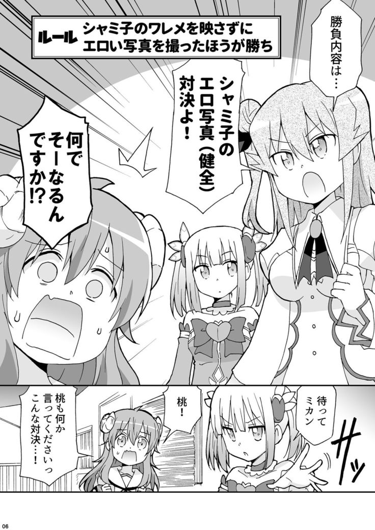 Wareme Mienai Shashin Senshuken 2