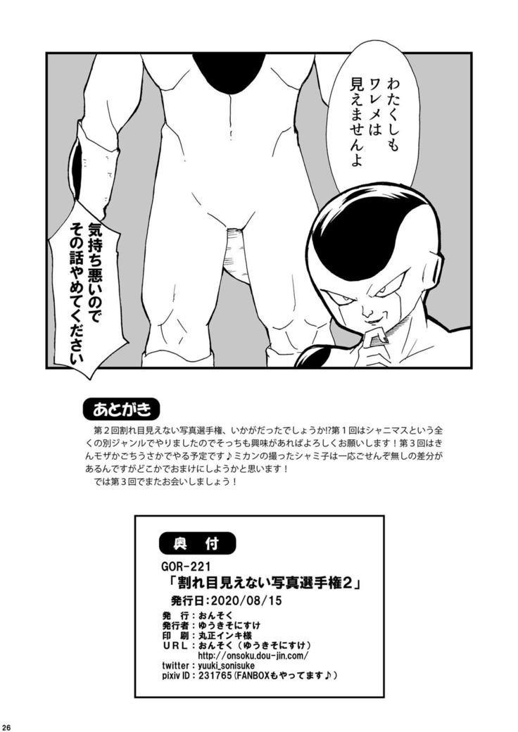 Wareme Mienai Shashin Senshuken 2