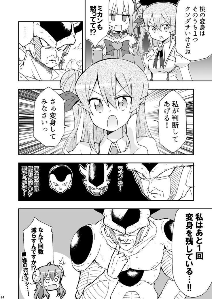 Wareme Mienai Shashin Senshuken 2