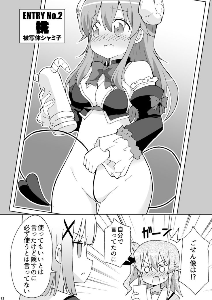 Wareme Mienai Shashin Senshuken 2