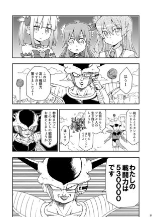 Wareme Mienai Shashin Senshuken 2 Page #21