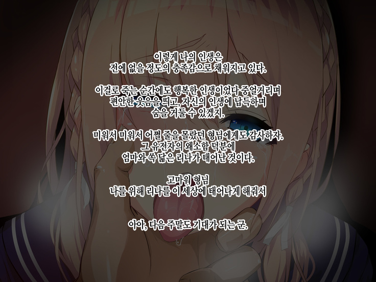 Ore ga Kanojo o Okasu Wake