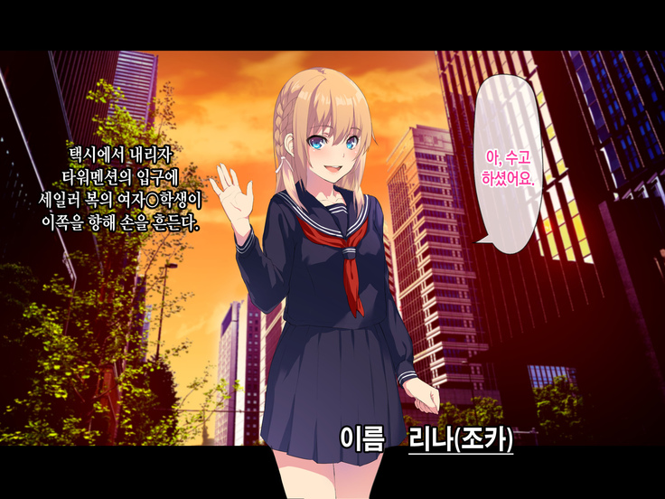 Ore ga Kanojo o Okasu Wake