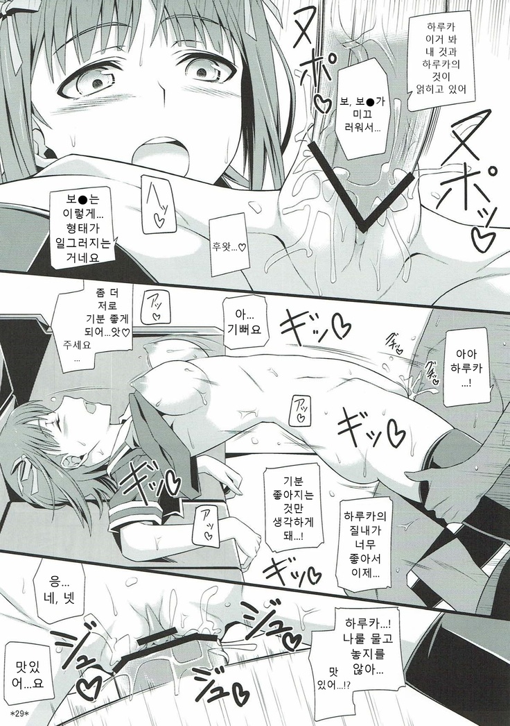 Idol Rank Z
