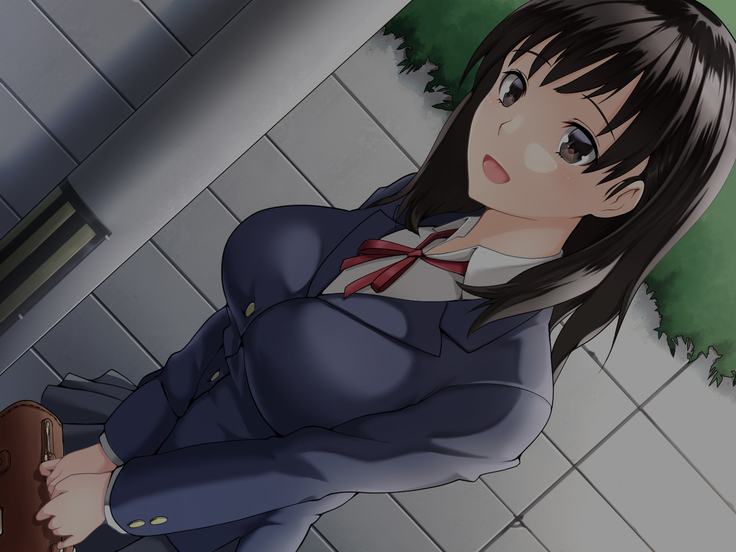 Kanojo ga Charao ni Netorarete Ochiru made