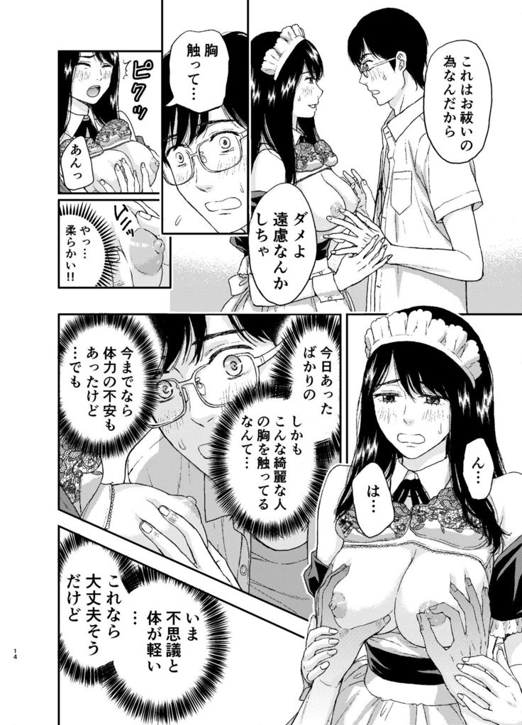 Maid-san ni Gosoudan!