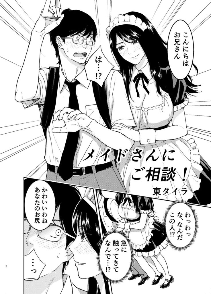 Maid-san ni Gosoudan!